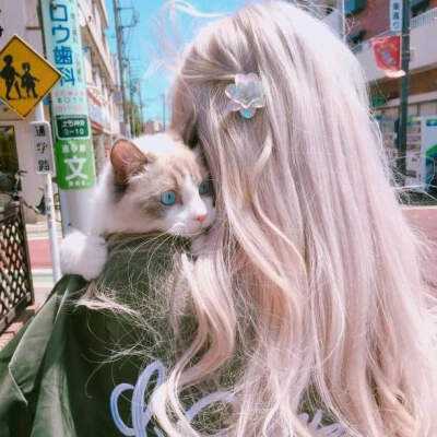 动物知识大比拼